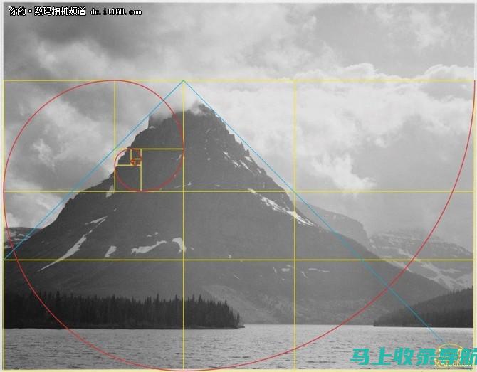 Separate的语言特性与运用技巧解析