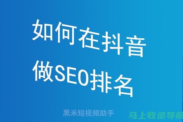 抖音SEO工具大解析：提升视频排名的秘密武器