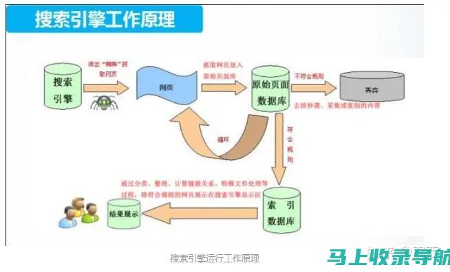 掌握SEO查询站长工具，提升网站流量的秘诀大揭秘